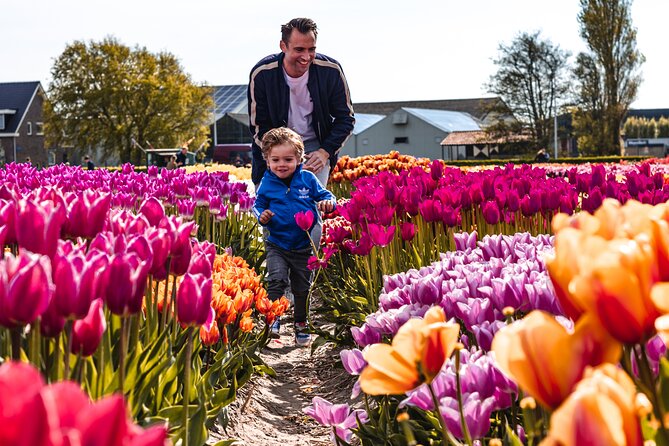 Private Tulip Fields, Windmills and Cheese Tour from Amsterdam - Zaanse Schans Windmills: Classic Dutch Working-Industry Atmosphere