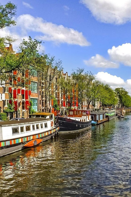 Private Van Gogh Walking Tour through Amsterdam - Who This Tour Fits Best