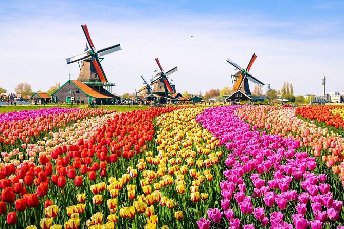 Private Zaanse Schans & Volendam Tour: Windmills, Cheese & Clogs - Clogs workshop and the cheese farm: what to focus on