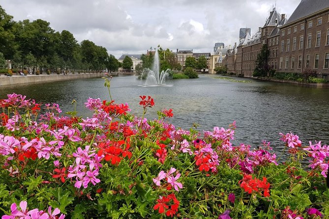 privatetour Delft, The Hague&Rotterdam Kinderdijk from Amsterdam - Getting comfortable from Amsterdam: pickup, Wi-Fi, and the rhythm of the day
