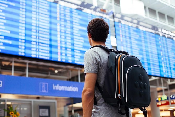 Roundtrip Private Transfer from Amsterdam Airport (AMS) - Group size and private ride reality