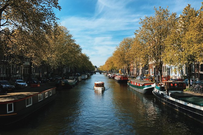 See Shoot Share | Photo Tour - Price and Value at $66.09: When It Makes Sense