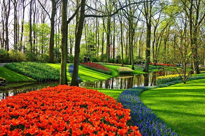 Sightseeing Keukenhof Tulip fields, Giethoorn tour from Amsterdam - Key Takeaways