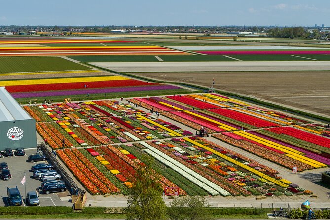 Sightseeing Keukenhof Tulip fields, Giethoorn tour from Amsterdam - A One-Day Flower and Canal Double Header From Amsterdam