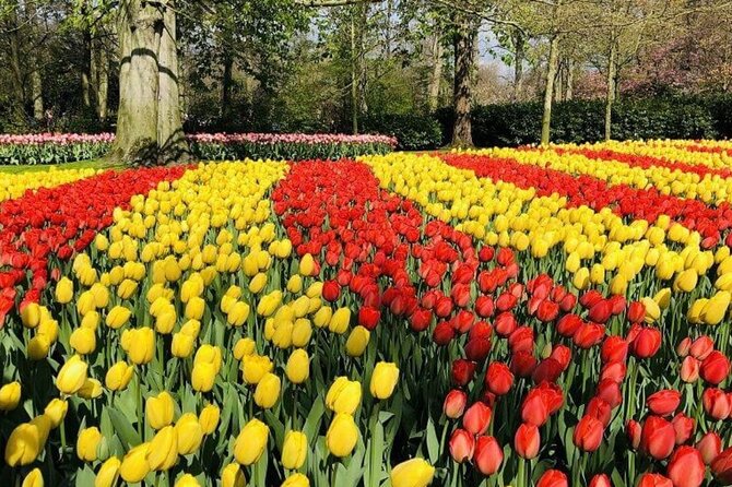 Skip-the-Line Keukenhof Gardens and Tulip Fields Tour from Amsterdam - The return to Amsterdam: easy exit after your flower time