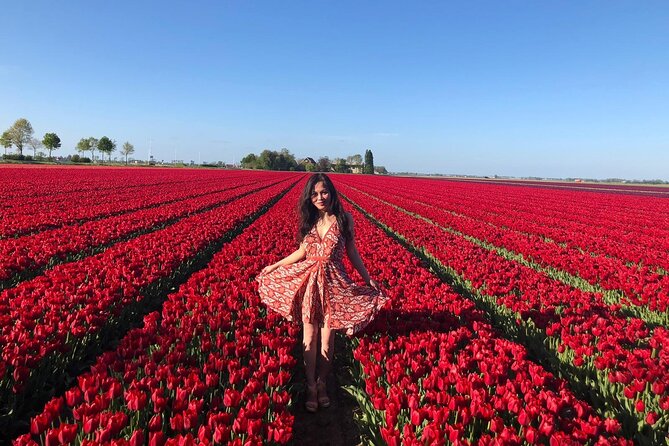 Small Group Keukenhof and Delft Guided Tour from Amsterdam - Keukenhof and Delft, the key points that matter