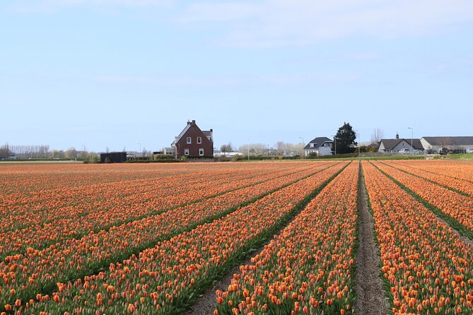 Small Group Keukenhof and Delft Guided Tour from Amsterdam - Price and value: what you’re paying for, and where it’s worth it