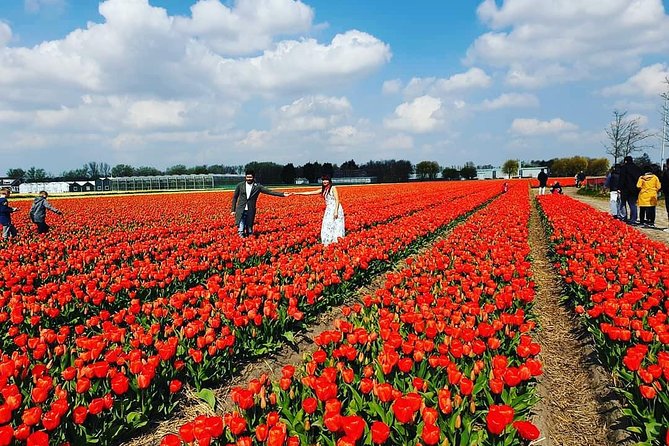 Small Group Keukenhof and Delft Guided Tour from Amsterdam - Tips to make the most of spring tulips and Delft time