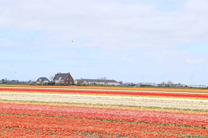 Small Group Keukenhof and Delft Guided Tour from Amsterdam - Should you book this Keukenhof and Delft small-group tour?