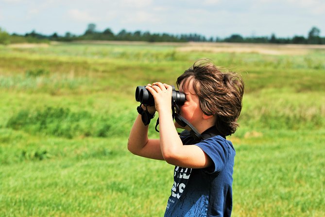Small Group Tour to NP Hoge Veluwe (van Gogh) from Amsterdam - FAQ