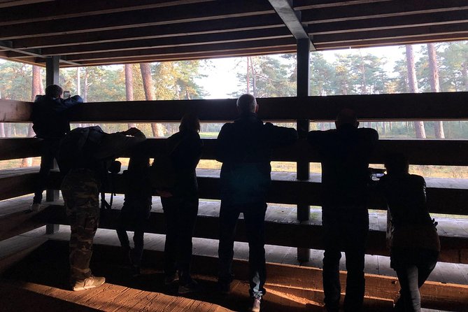 Small Group Tour to NP Hoge Veluwe (van Gogh) from Amsterdam - Jachthuis Sint Hubertus: optional H.P. Berlage architecture stop