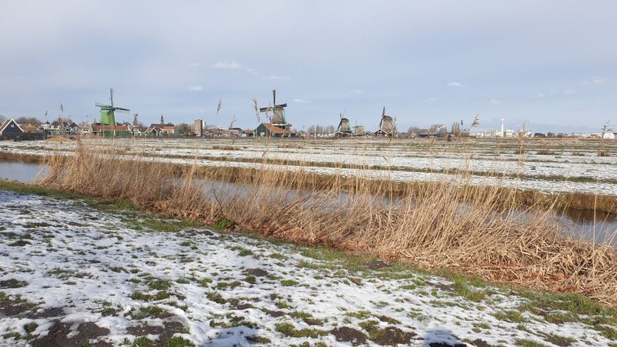 Small Group Zaanse Schans & Volendam Tour w/ Hotel Pick up - Hotel pickup, van ride, and how the 6-hour plan actually feels