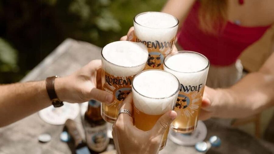 Top 10 Tastings of Amsterdam: Guided Walking Food Tour - Value check: is $81 worth it?