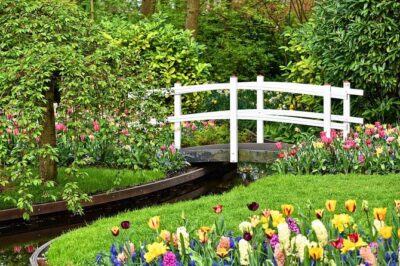 Transfer from Amsterdam to Keukenhof Gardens Tulip from Amsterdam