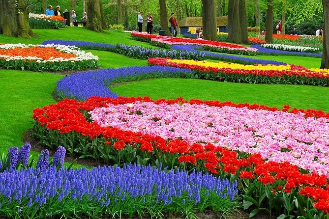 Tulip Experience and Keukenhof Flower Gardens Tour from Amsterdam - Who should book this private tulip day?
