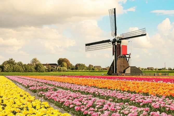 Tulip Experience and Keukenhof Flower Gardens Tour from Amsterdam - Private transport, skip-the-lines, and why the logistics feel worth the money