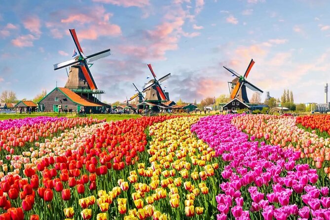 Tulip Paradise: Keukenhof Half-Day Private Tour - Private pickup and a half-day tulip chase, without the stress