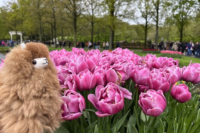 Tulip Paradise: Keukenhof Half-Day Private Tour - Your guide-driver matters more than you think