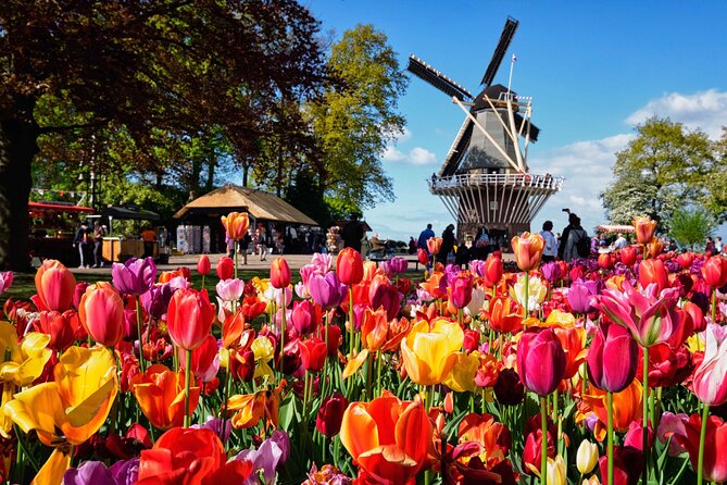 Tulip Paradise: Keukenhof Half-Day Private Tour - The 9:00 AM drive: tulip fields, windmills, and real photo stops