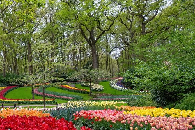 Tulips and Windmills Skip the Line Private Tour from Amsterdam - Keukenhof Gardens, skip-the-line, and how to actually enjoy your time