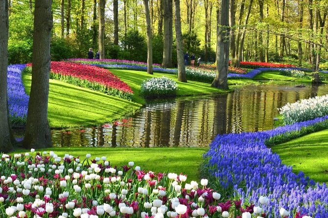 Tulips and Windmills Skip the Line Private Tour from Amsterdam - The private chauffeur setup in Amsterdam, and why it matters