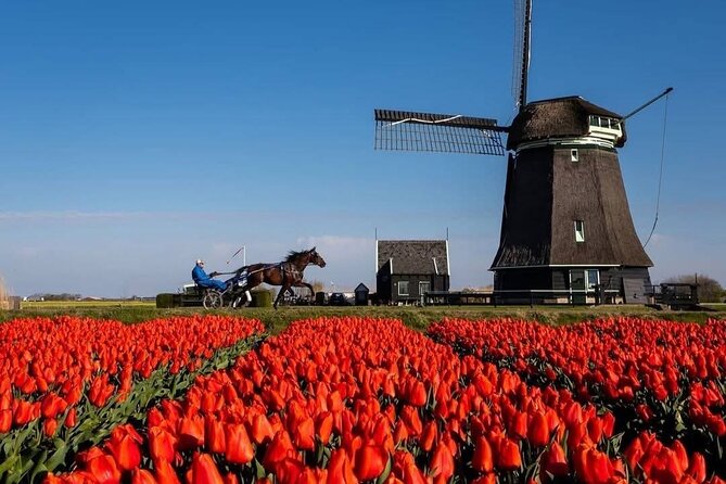 Tulips and Windmills Skip the Line Private Tour from Amsterdam - What the tickets and included entries really buy you