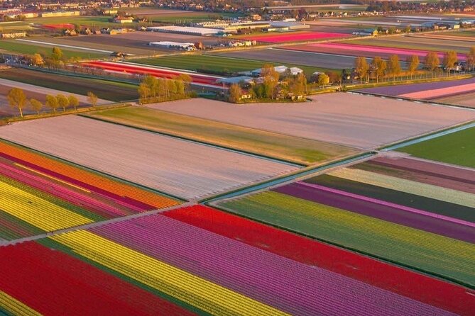 Tulips and Windmills Skip the Line Private Tour from Amsterdam - Price and value: $706.40 per group up to 4