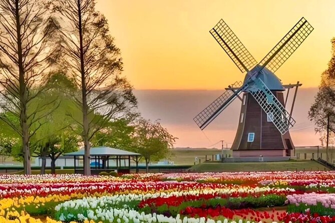 Tulips and Windmills Skip the Line Private Tour from Amsterdam - Timing, pace, and what an 8-hour day feels like