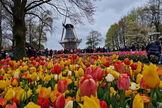 Tulips and Windmills Skip the Line Private Tour from Amsterdam - Guide Mike’s role, and the crowd-smart advantage