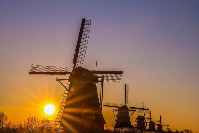 Tulips and Windmills Skip the Line Private Tour from Amsterdam - What to pack for tulips, windmills, and a full day out of Amsterdam