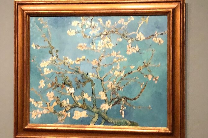 Van Gogh Museum, Rijks Museum & Walking Tour - Private Day Tour - Who this tour suits best, and who should think twice