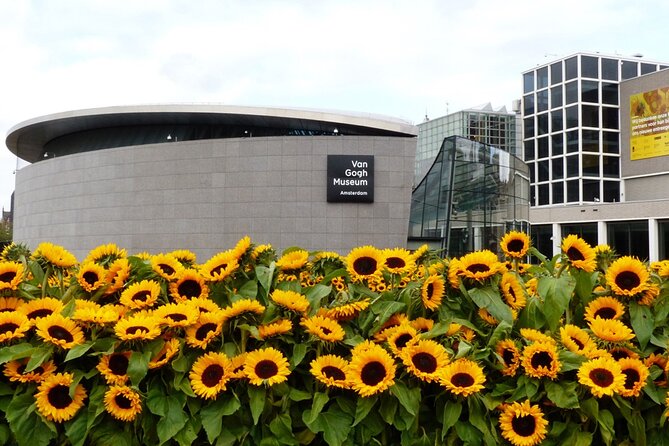 Van Gogh Museum Ticket with Audio Guide and Unlimited Access Time - Museum layout and comfort: floors, lifts, benches, and the stuff nobody thinks about