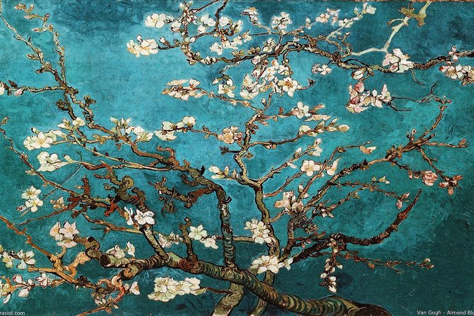 Van Gogh Museum Tour Reserved Entry Semi Private - What to expect during your 2 hours 30 minutes