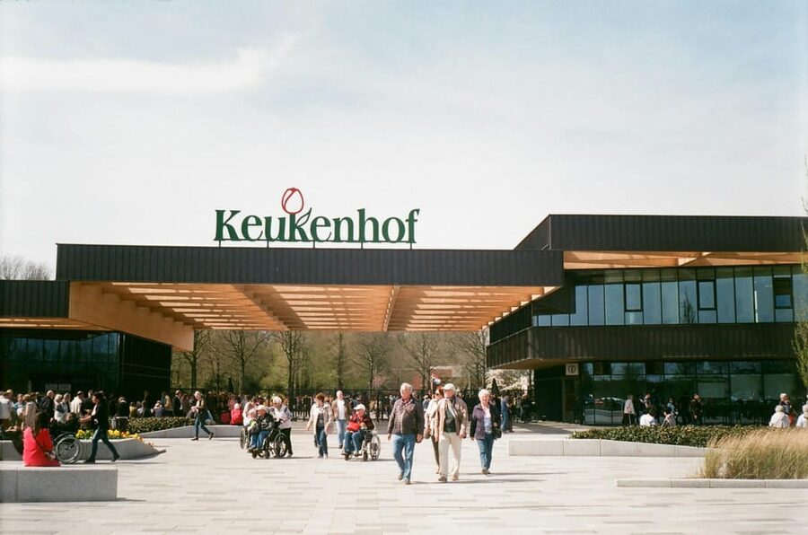 VIP Keukenhof Gardens & Dutch Countryside Private Tour - The Big Idea: Two Icons, One Private Driver Day
