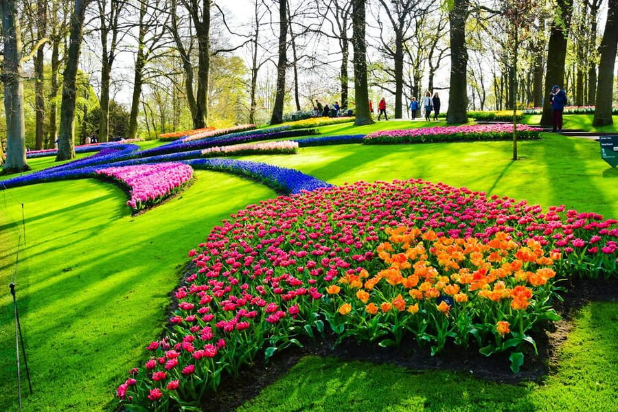 VIP Keukenhof Gardens & Dutch Countryside Private Tour - Key Moments You’ll Remember