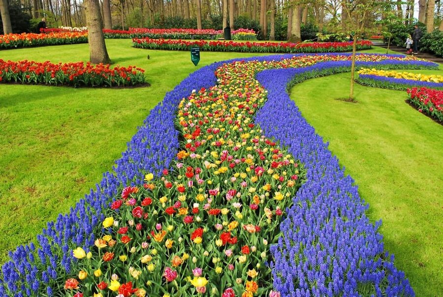VIP Keukenhof Gardens & Dutch Countryside Private Tour - What to Wear and Bring for a Comfortable Spring Day