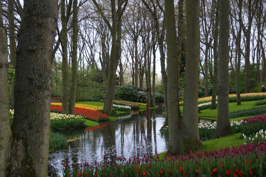 VIP Keukenhof Gardens & Dutch Countryside Private Tour - Who This Tour Is Best For