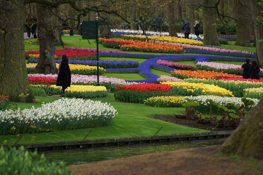 VIP Keukenhof Gardens & Dutch Countryside Private Tour - Should You Book This VIP Keukenhof and Dutch Countryside Private Tour?
