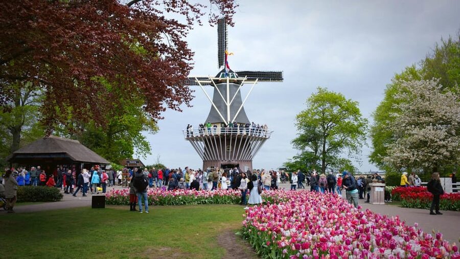 VIP Keukenhof Gardens & Dutch Countryside Private Tour - Keukenhof Gardens: Millions of Tulips With a Few Smart Extras