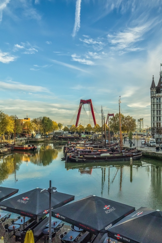 VIP Private Full Day Tour of the Netherlands - Rotterdam: the port-city mood with guided context that clicks