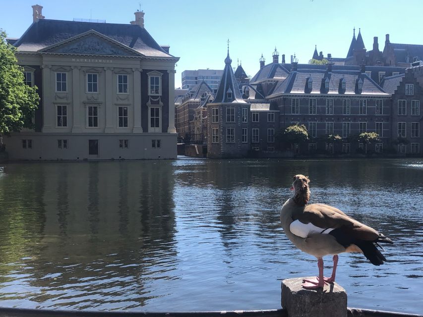 Visit the Girl with the Pearl Earring, The Hague & Delft - Private guide and driver: where the value hides