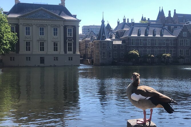 Visit the Girl with the Pearl Earring, The Hague & Delft City - The Hague historic center: Binnenhof, parliament, and royal power in one walk