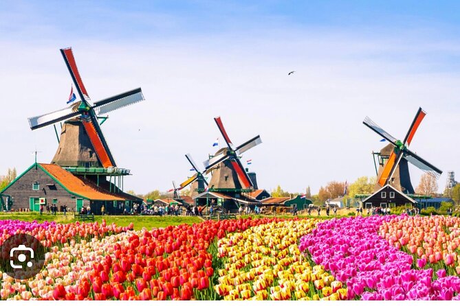 Windmills Country side tour Zaanse Schans-Cheesefactory-Volendam - Zaanse Schans windmills: the easiest way to get Dutch countryside vibes