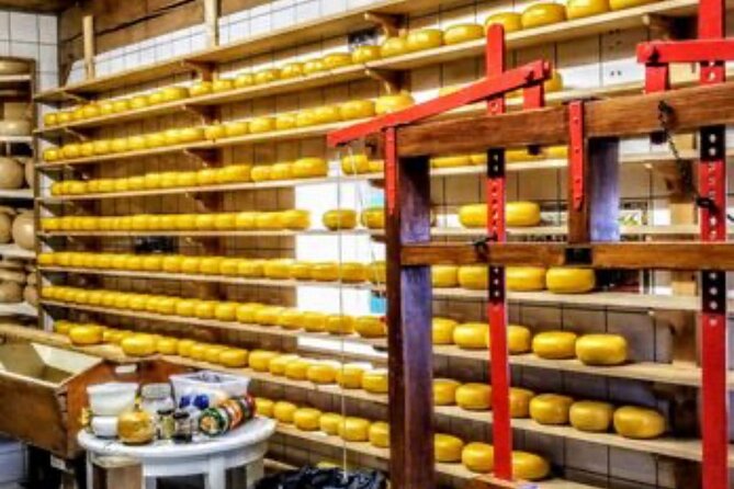 Windmills Country side tour Zaanse Schans-Cheesefactory-Volendam - Price of $408.50 for up to 7: is it good value?