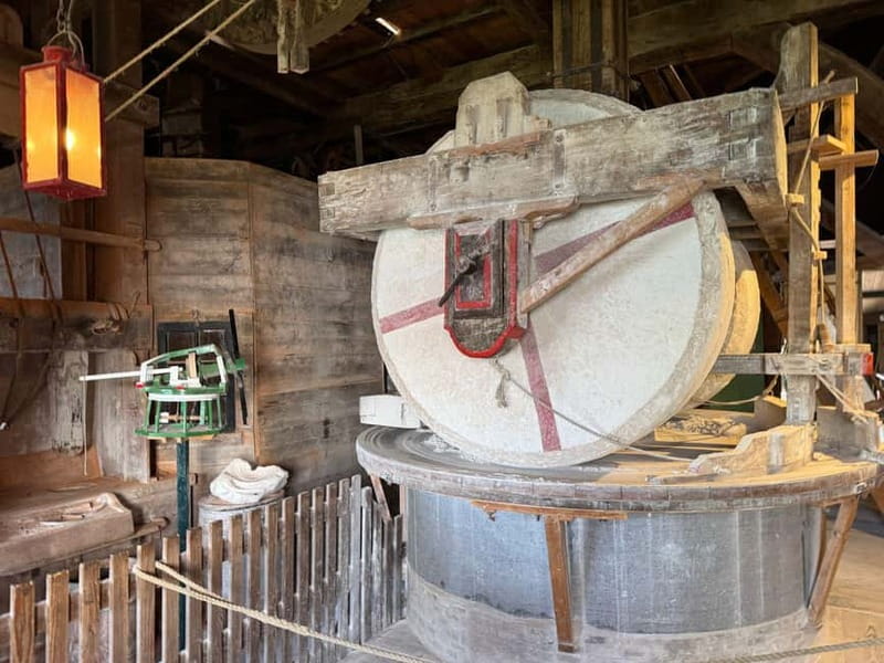 Zaanse Schans & Volendam Private Tour: Windmills and Cheese - Henri Willig Kaas BV: cheese-making craft and a tasting you can actually use